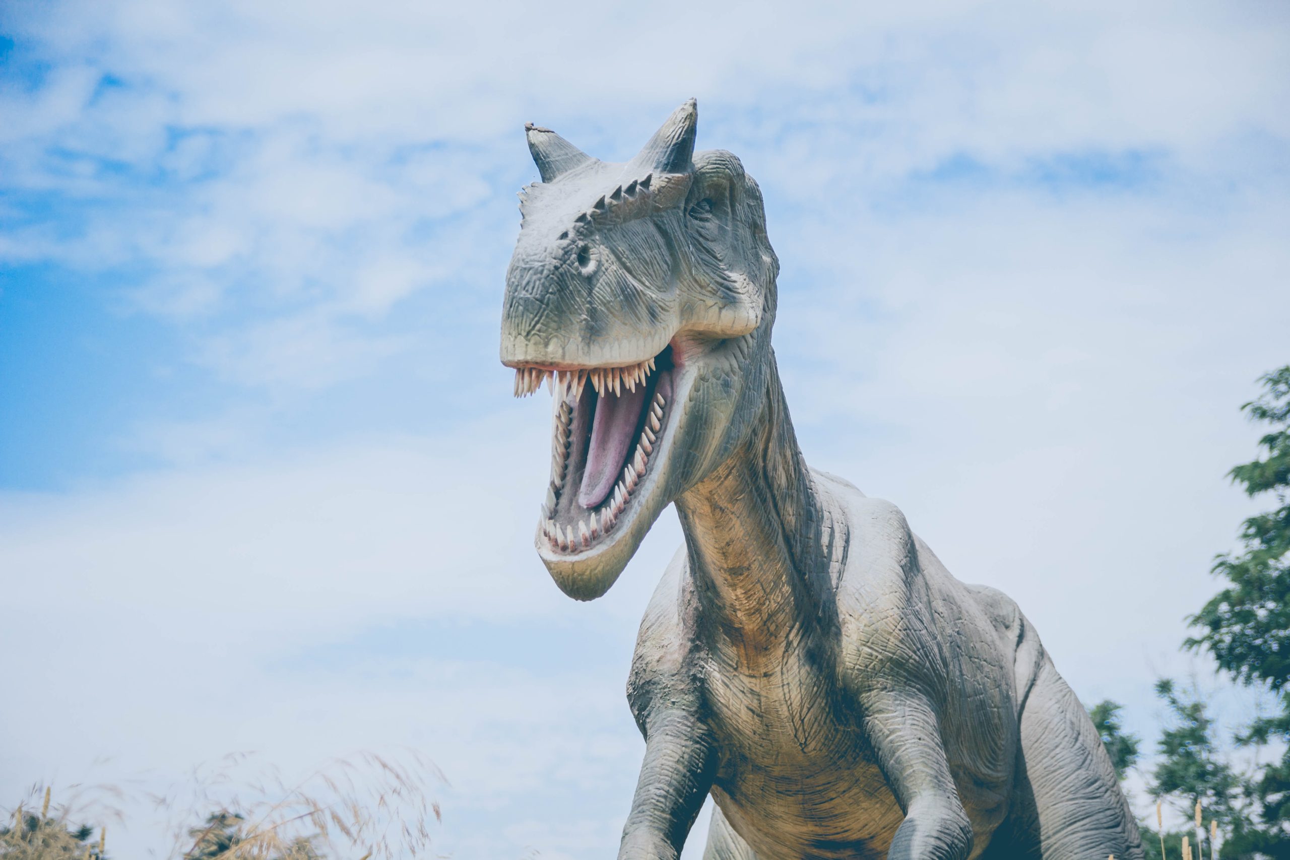Ilmuwan rekonstruksi tengkorak dinosaurus dalam fosil telur