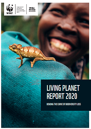 WWF harapkan ‘Living Planet Report 2020’ jadi bahan sidang PBB