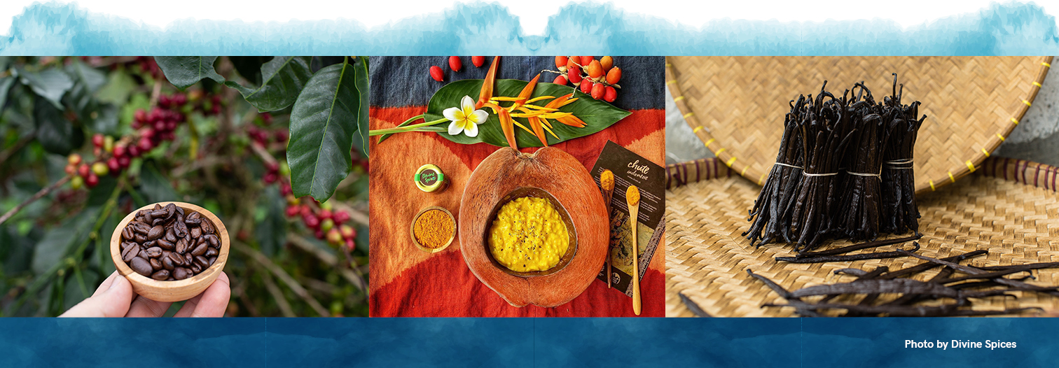 Indonesia luncurkan situs ‘Virtual House’ promosikan produk nasional di Slovakia