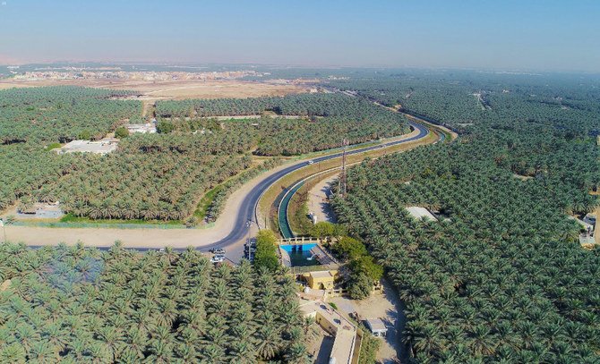 Al-Ahsa Arab Saudi oasis terbesar di dunia