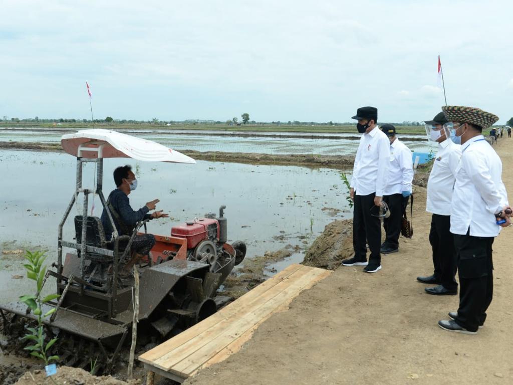 Pengembangan ‘food estate’ nasional gunakan teknologi moderen