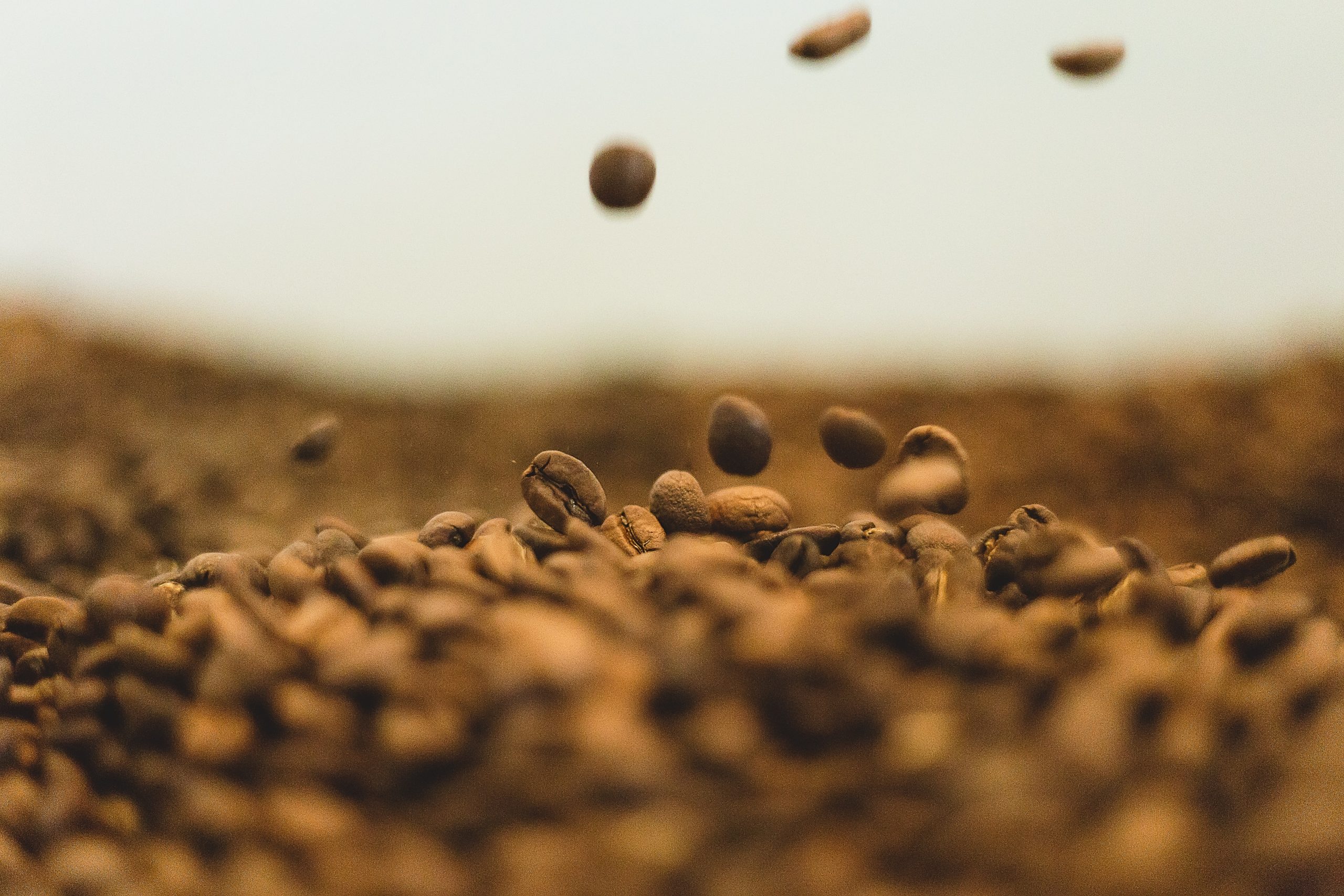 Promoting Indonesian specialty coffee in Nordic