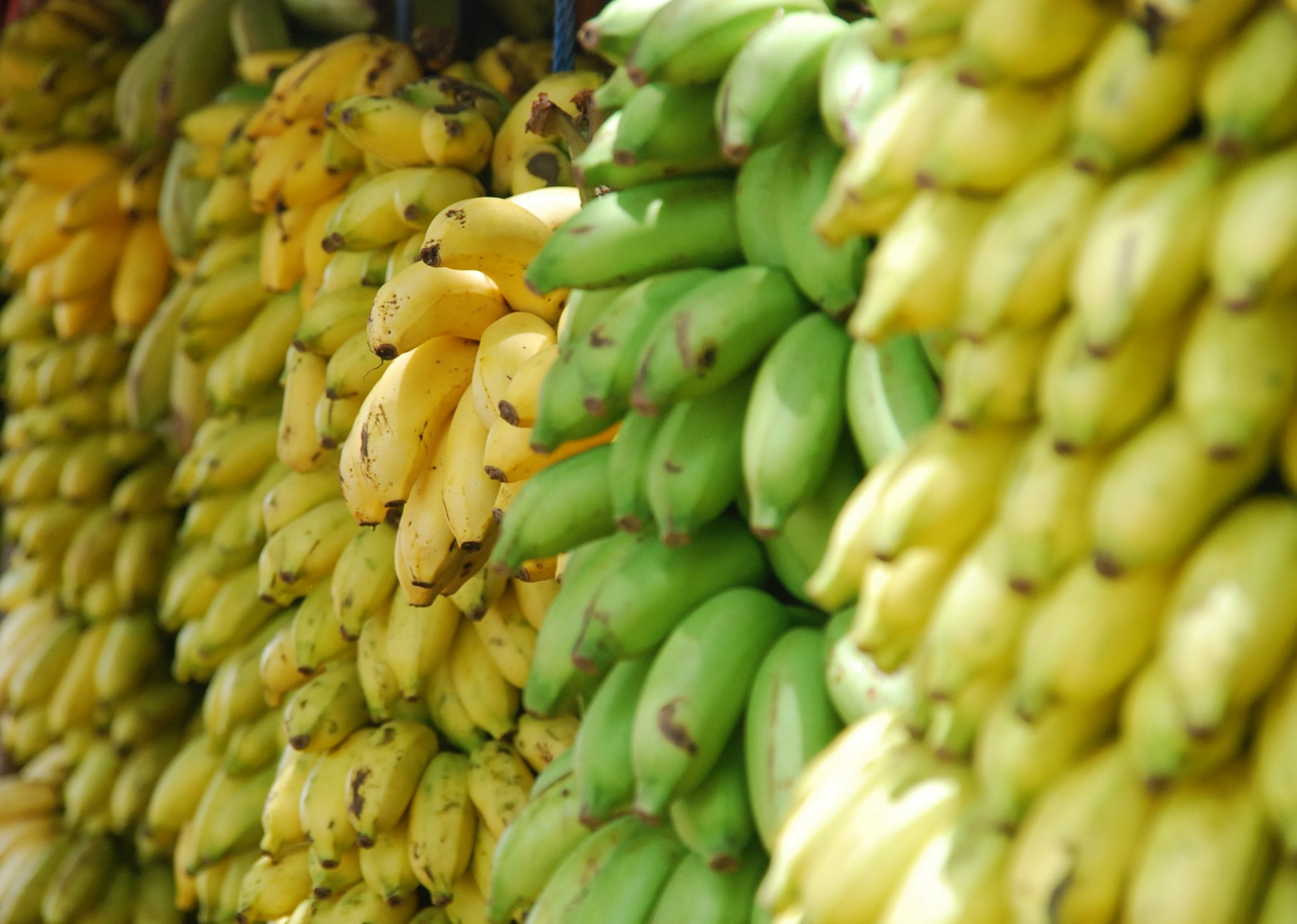 Pisang kaya potasium, bermanfaat untuk kesehatan jantung