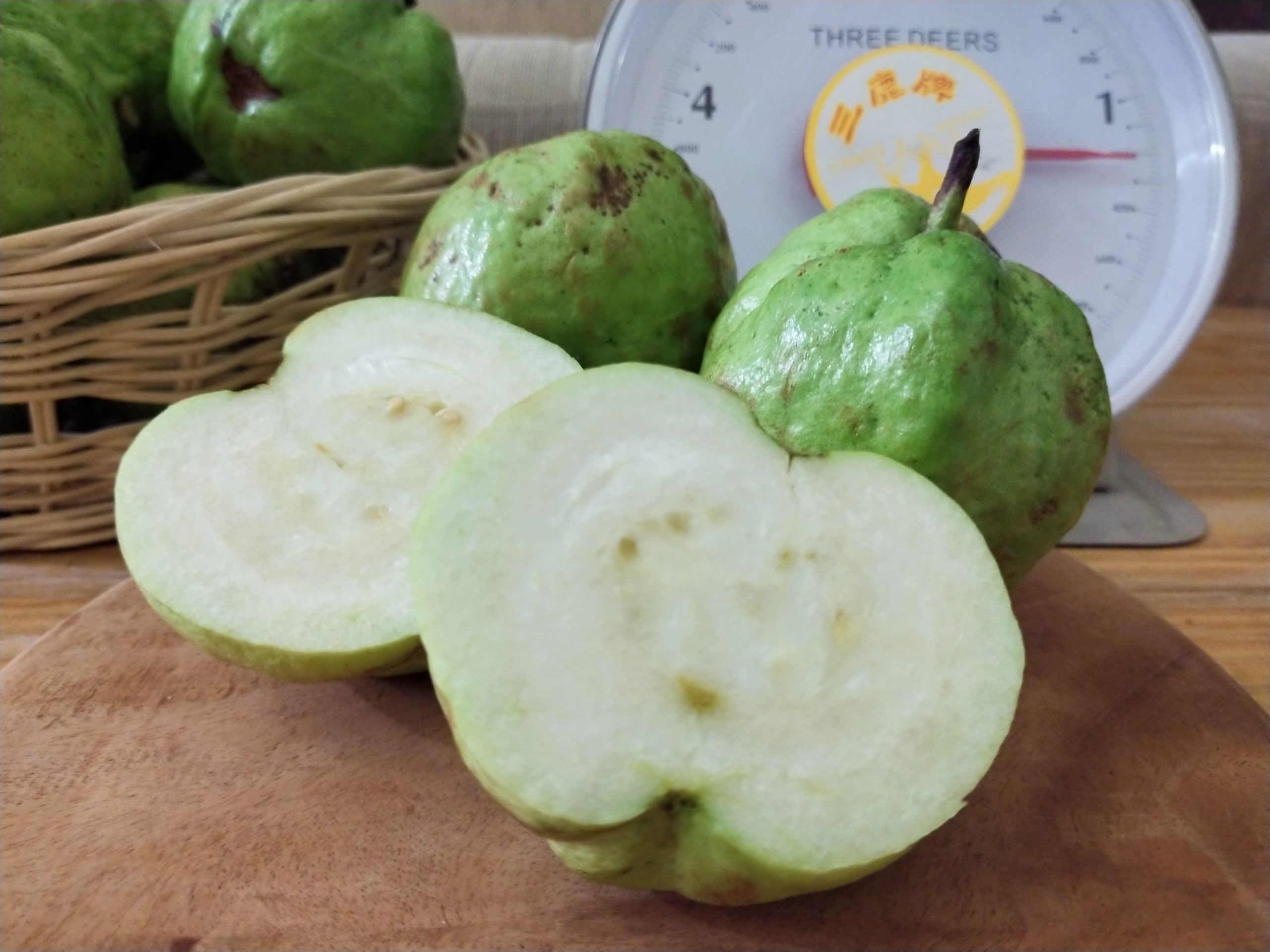 Pupuk susu buat jambu kristal lezat dan bergizi