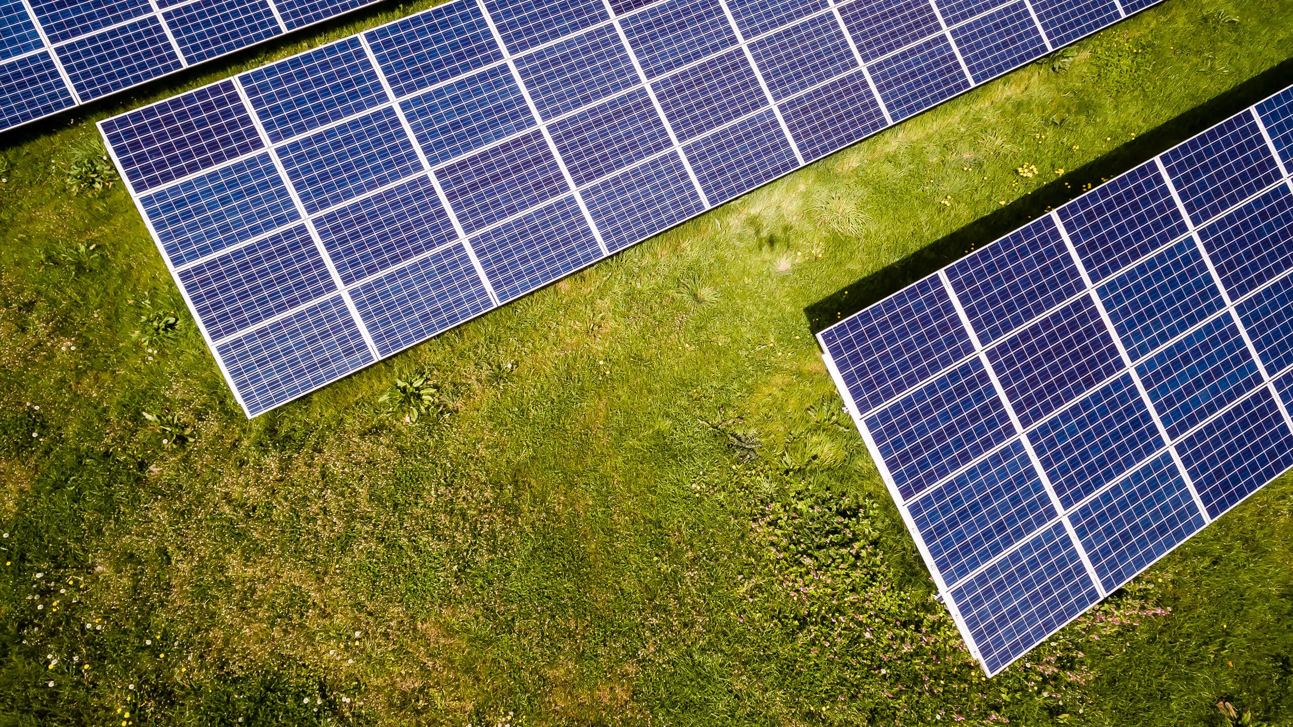 Indonesia has great green energy potential: Asian Investment Bank