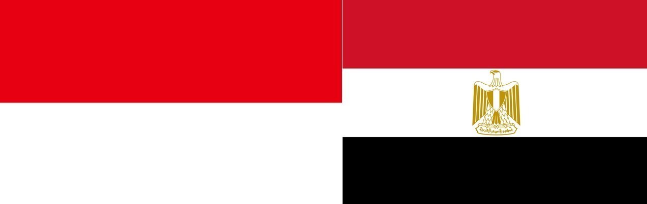 Indonesia-Mesir tandatangani kontrak dagang produk ban senilai 285,6 miliar rupiah