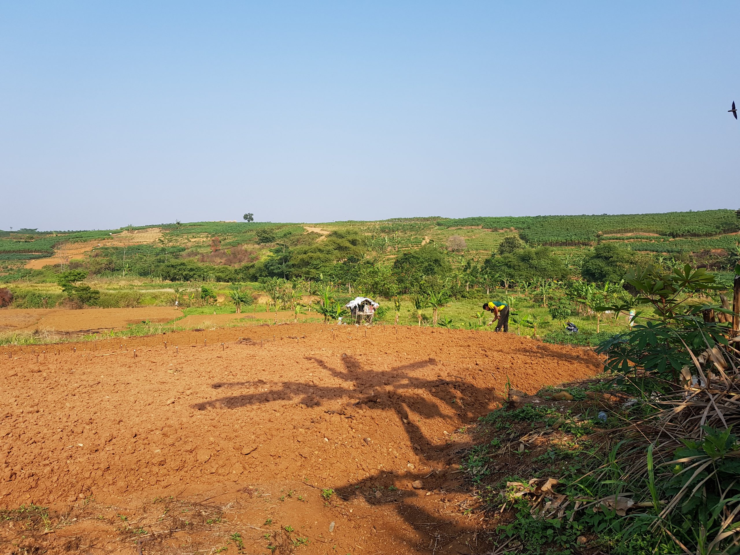 Indonesia to build 600 megawatt bioenergy plants by 2030