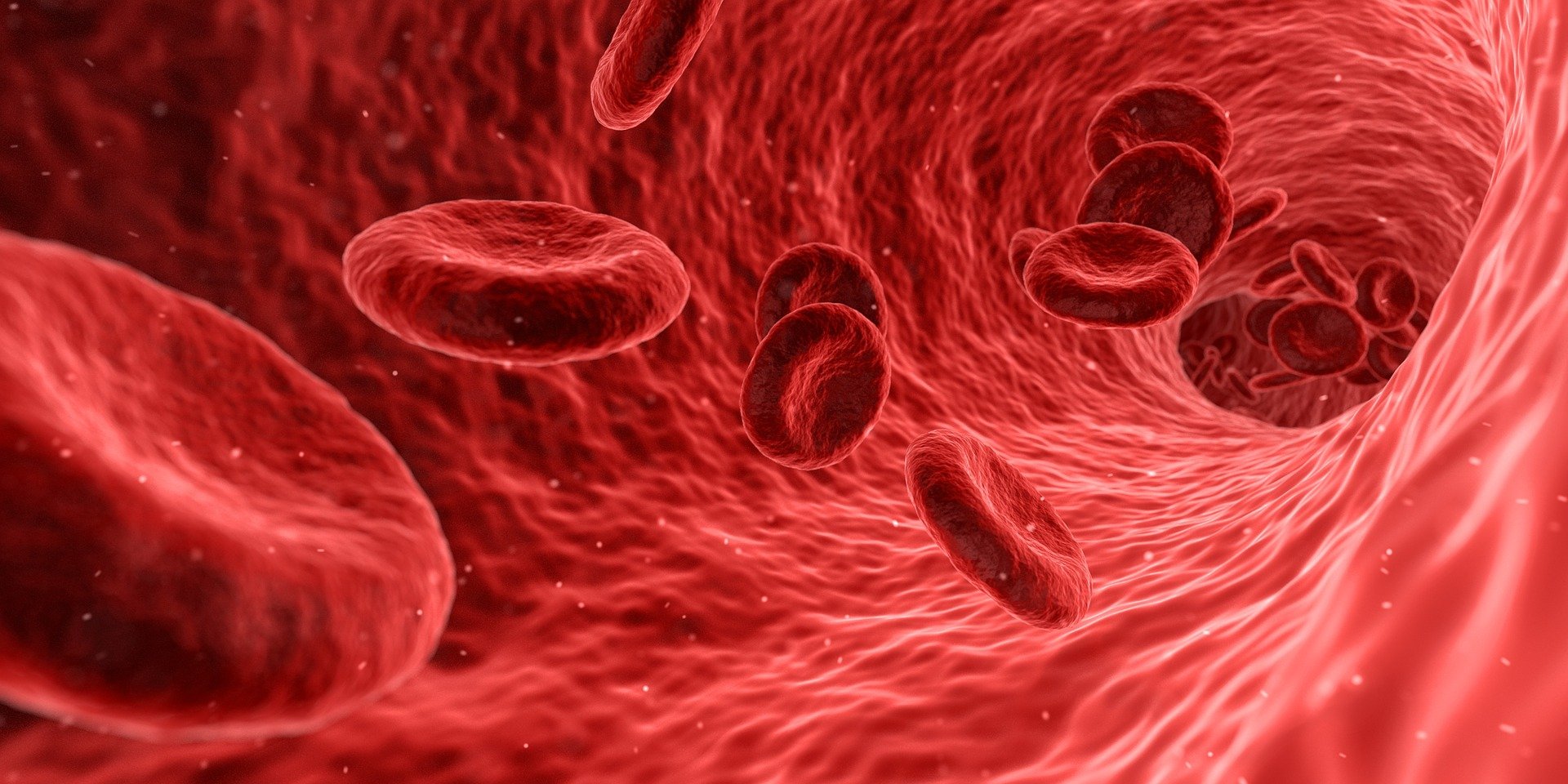 COVID-19 – Ilmuwan teliti hubungan antara sel punca dan virus corona