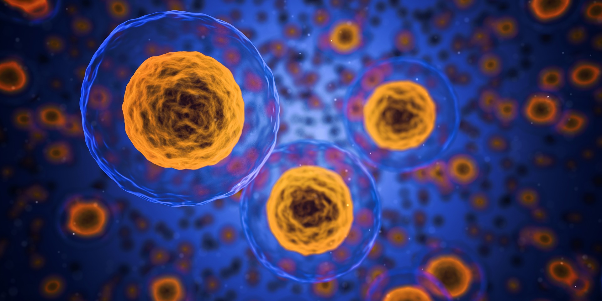 COVID-19 – Penelitian: Sel punca bisa untuk terapi infeksi virus
