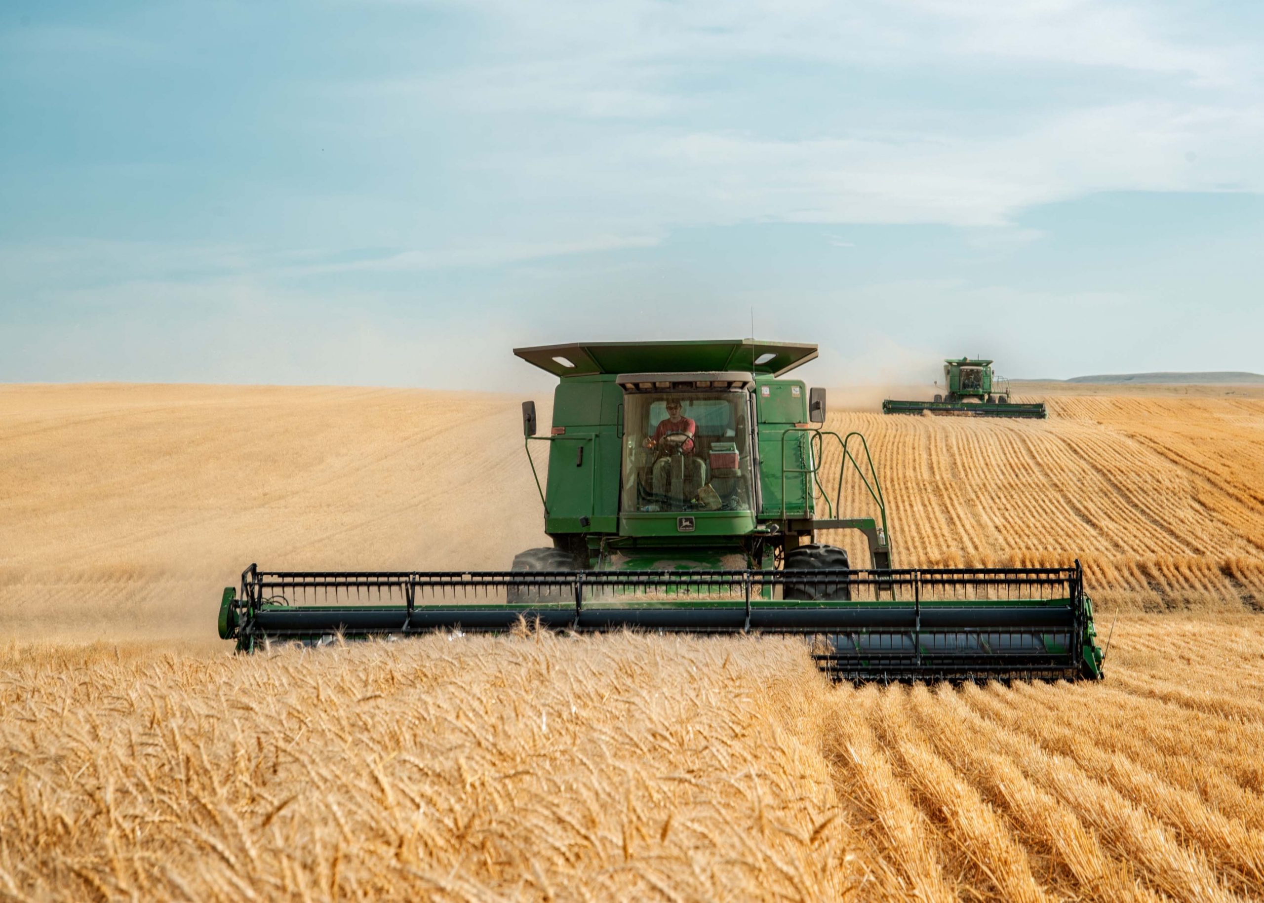 FAO peringatkan konflik Ukraina berdampak besar pada ketahanan pangan