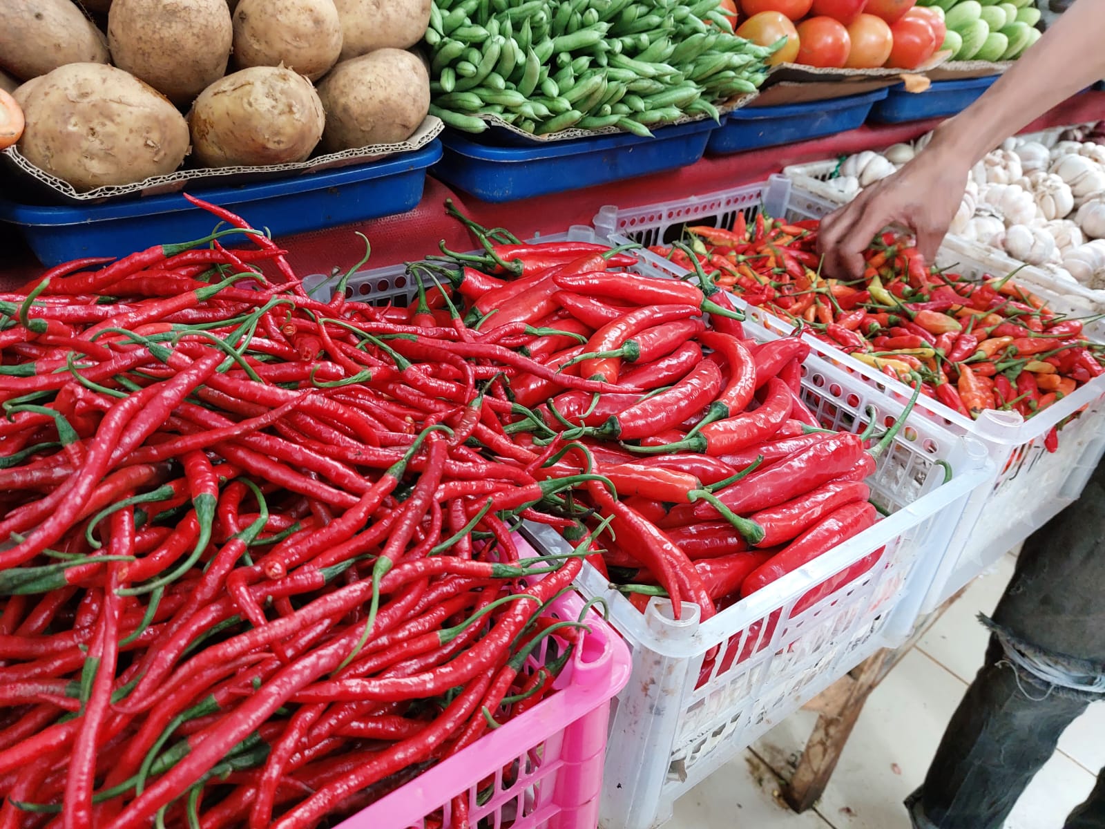 BPS: Cabai merah dan minyak goreng picu inflasi 0,66 persen pada Maret 2022