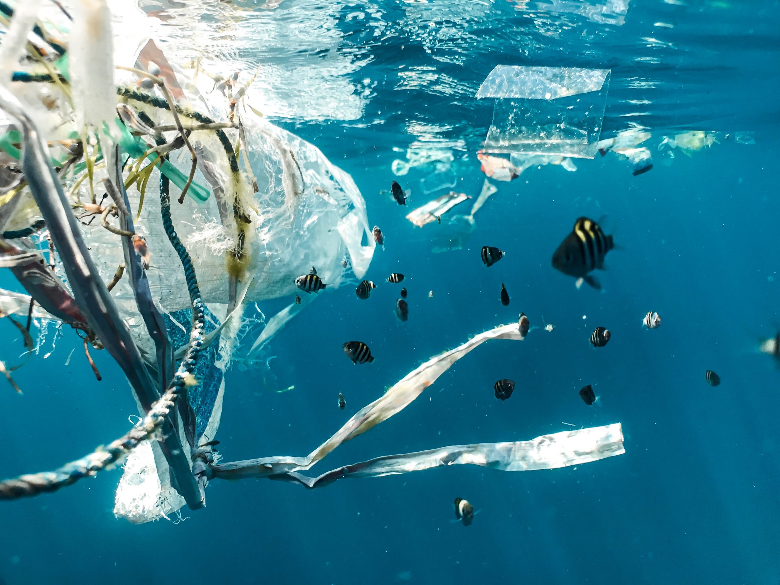 First evidence of microplastics found in Antarctic snow