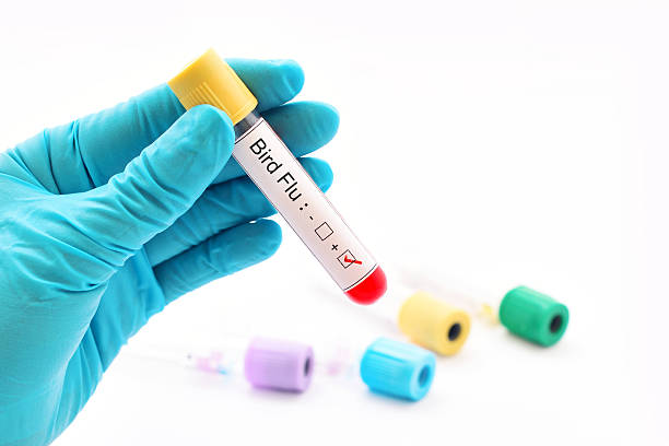 evolusi virus flu burung