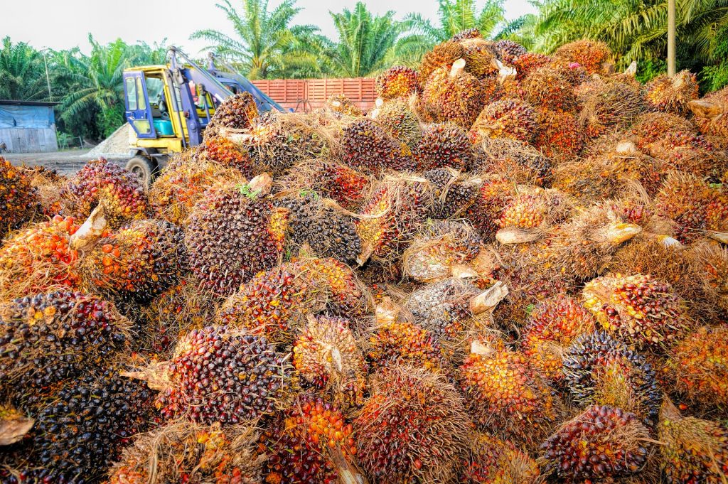 penghentian pengiriman pekerja migran malaysia