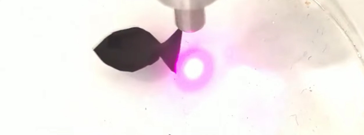 robot ikan china