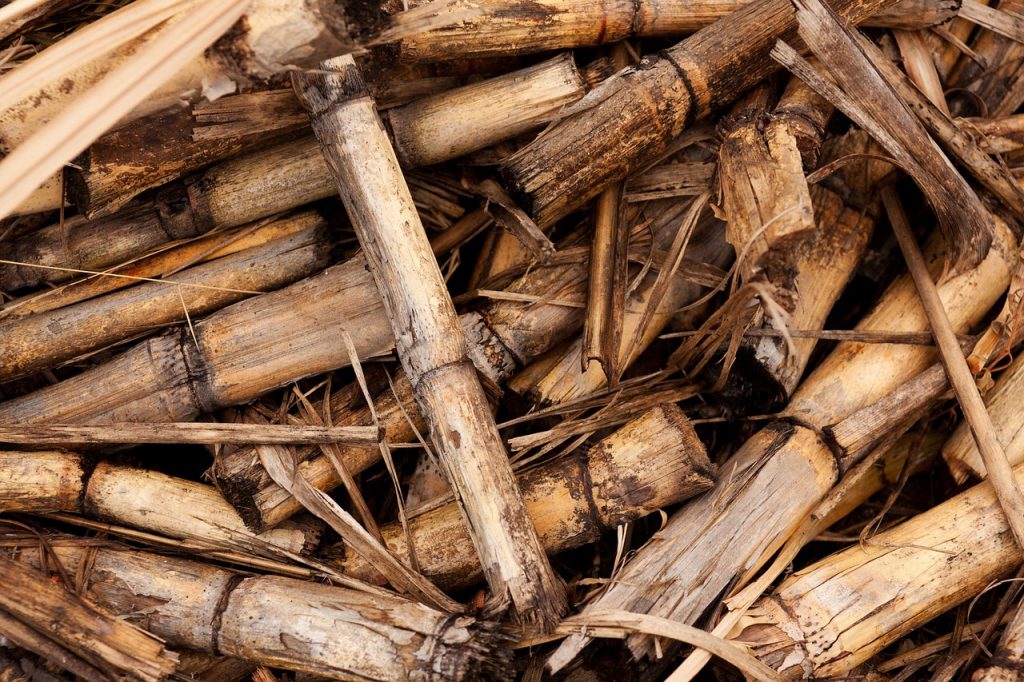 Potential land for biomass in Indonesia’s Java reaches 916,000 hectares