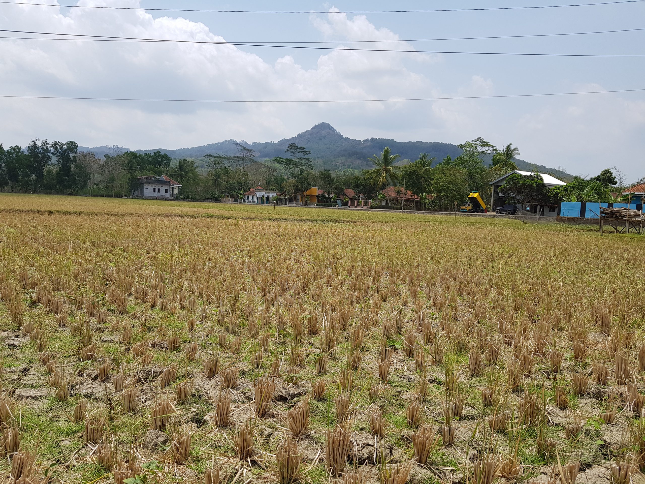 cuaca ekstrem bumi