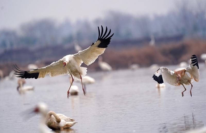 danau air tawar terbesar china