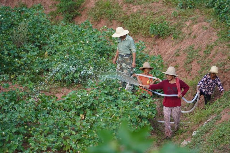 Sistem irigasi bertingkat China