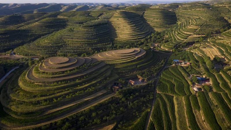 Perlindungan ekologis di pedesaan China