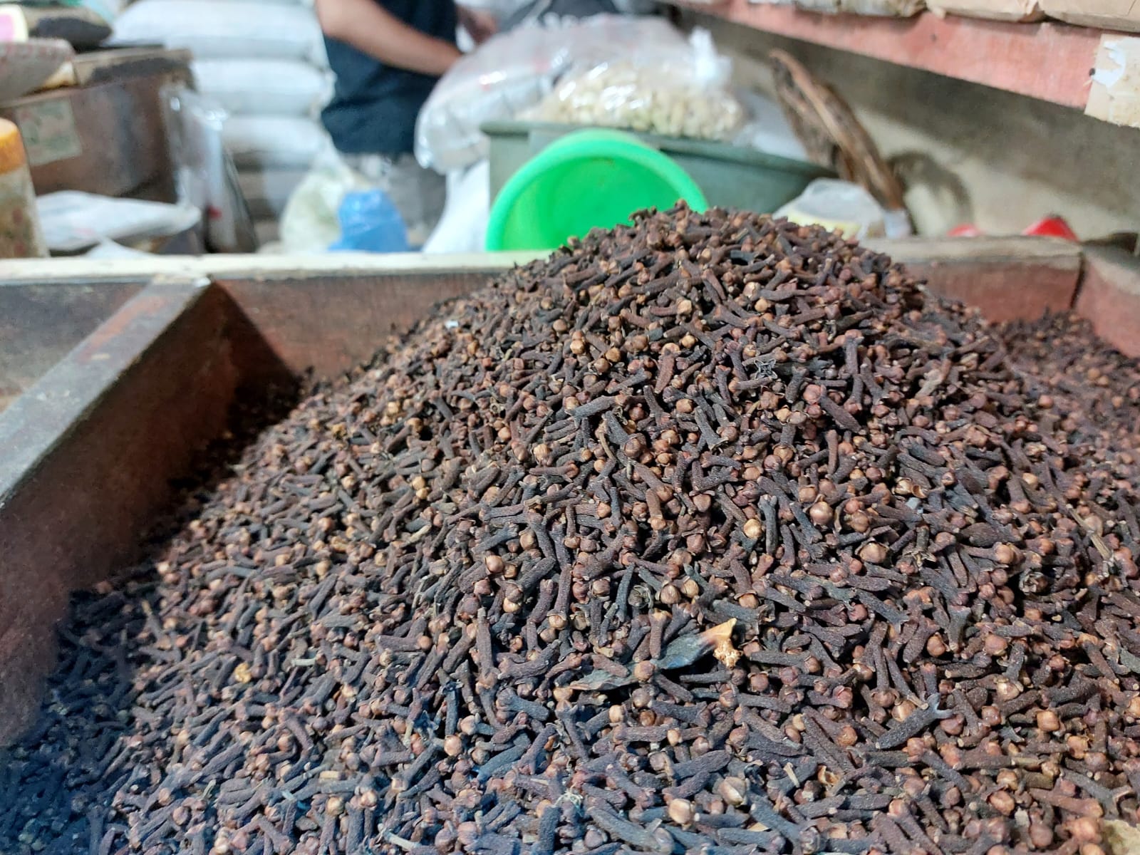 Pengembangan obat dari alam