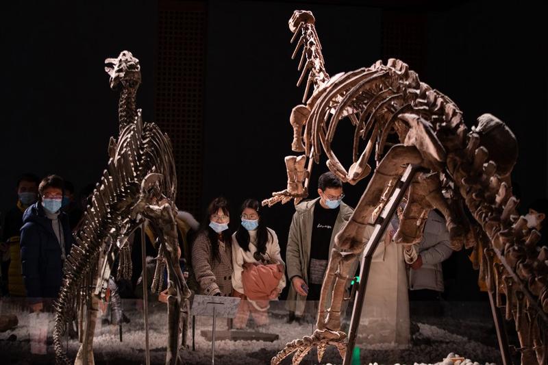 Kepunahan dinosaurus