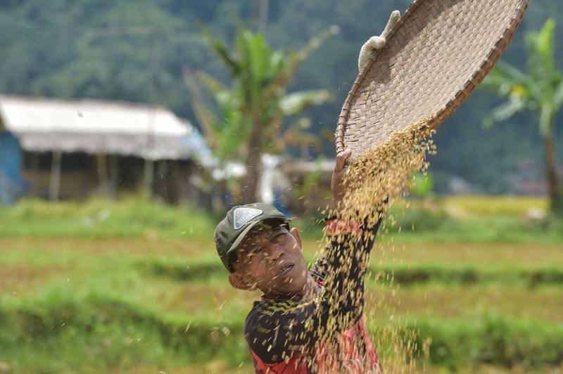 Kerugian perusahaan pertanian