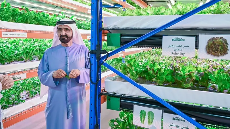Pertanian hidroponik vertikal Dubai