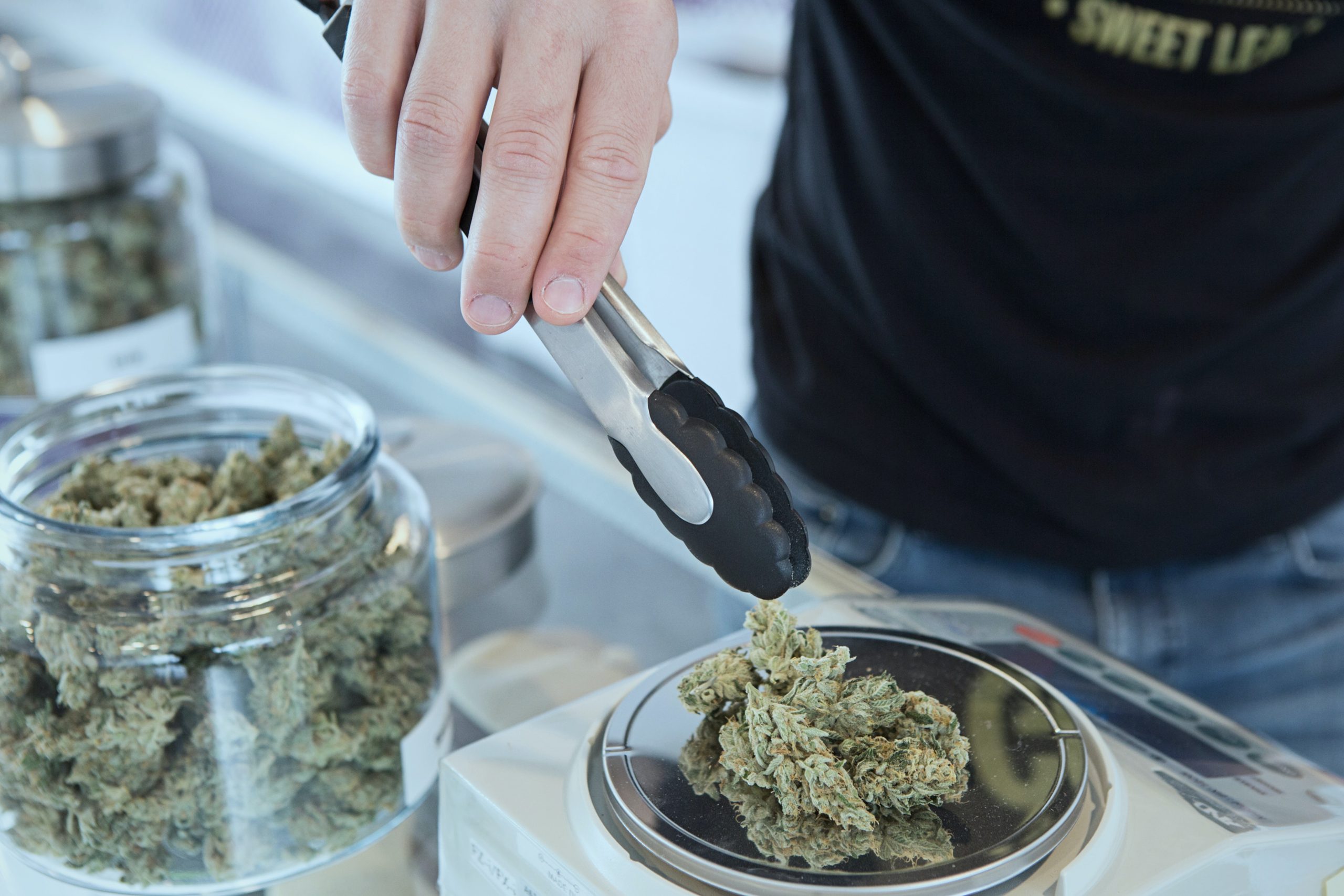 Penggunaan medis ganja