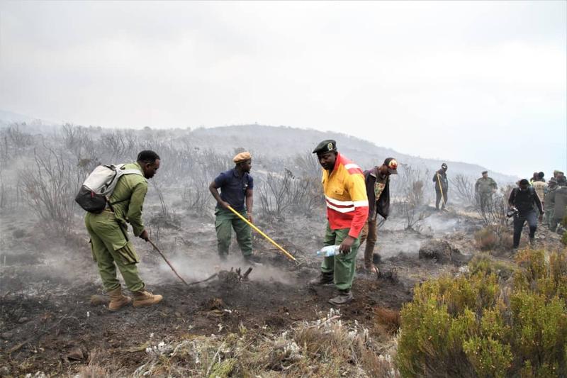 Kebakaran di Gunung Kilimanjaro