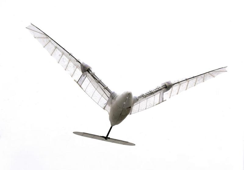 Ornithopter China