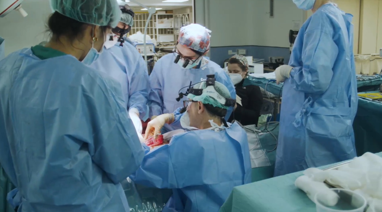 Transplantasi usus