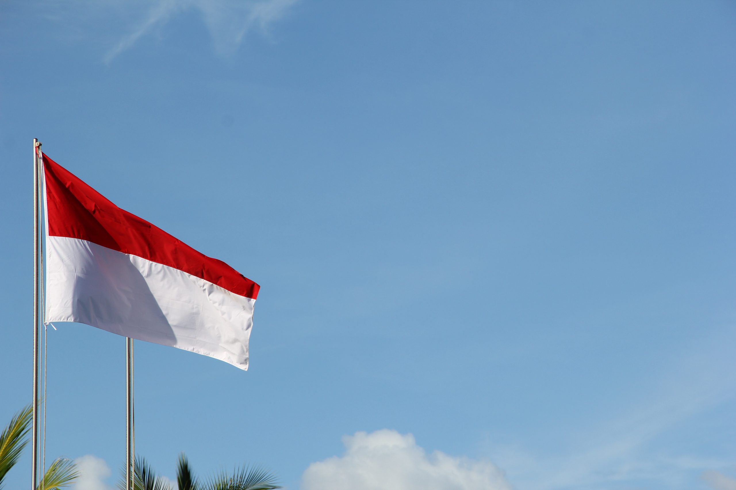 Indonesia dan Irlandia