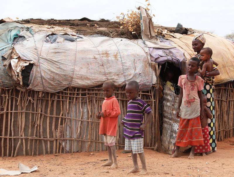 Dampak kekeringan Tanduk Afrika
