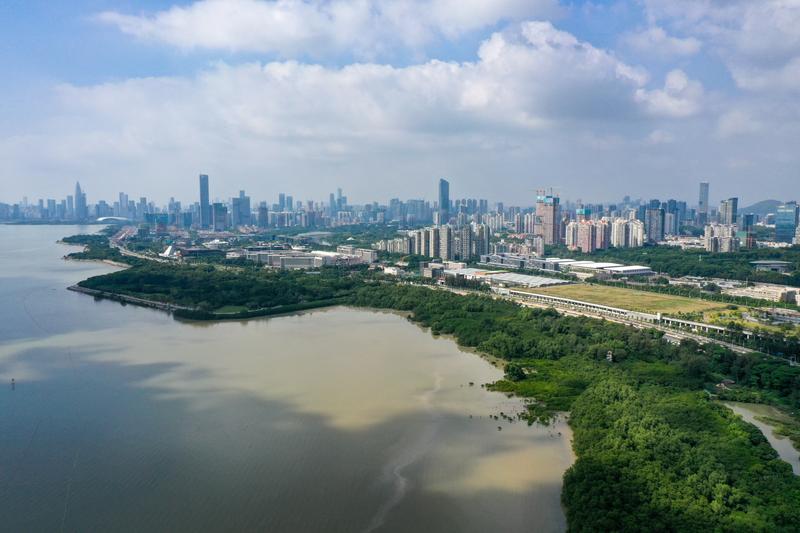 Kota Shenzhen di China