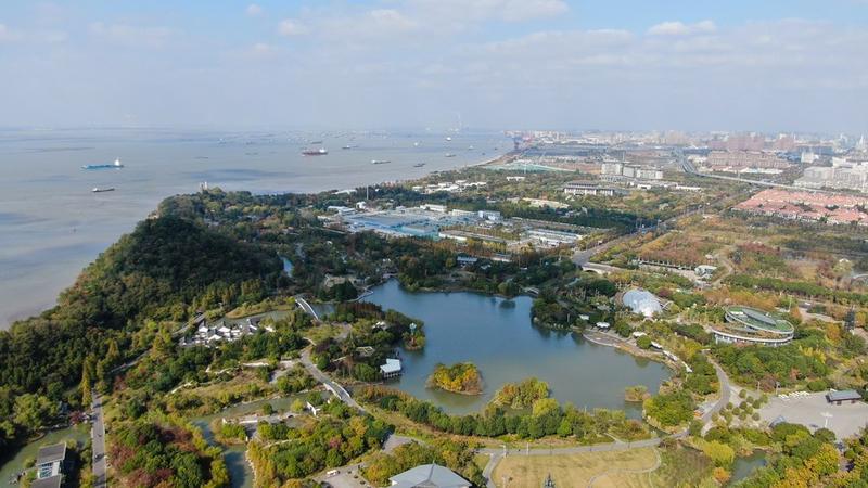 Muara Sungai Yangtze