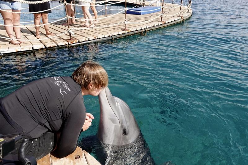 Dolphin Reef di Eilat