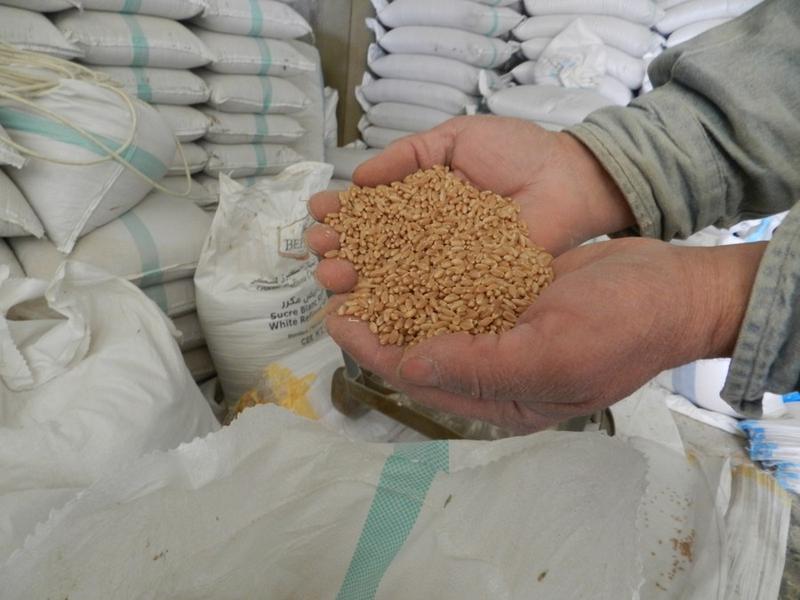 Harga global biji-bijian