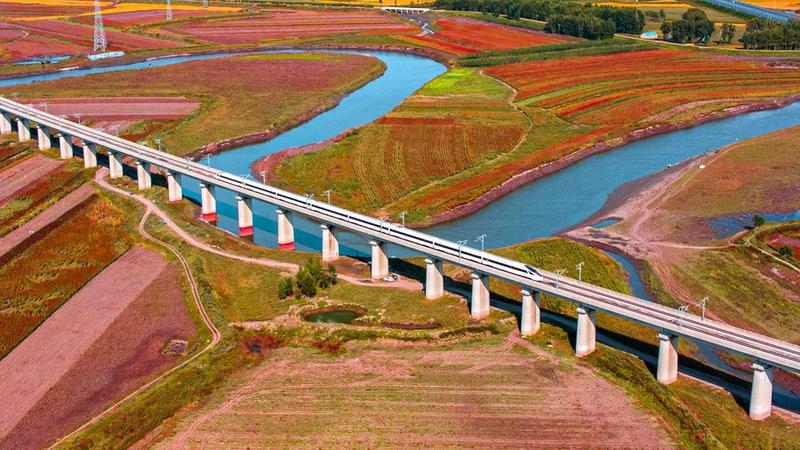 Jalur kereta cepat Harbin-Dalian