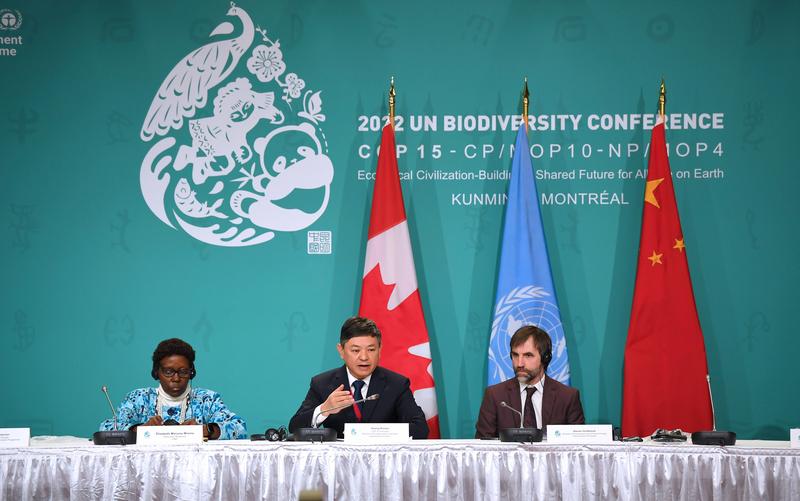 Proyek restorasi ekosistem China