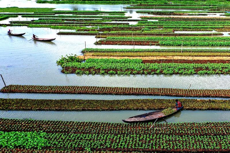 Rencana Adaptasi Nasional Bangladesh