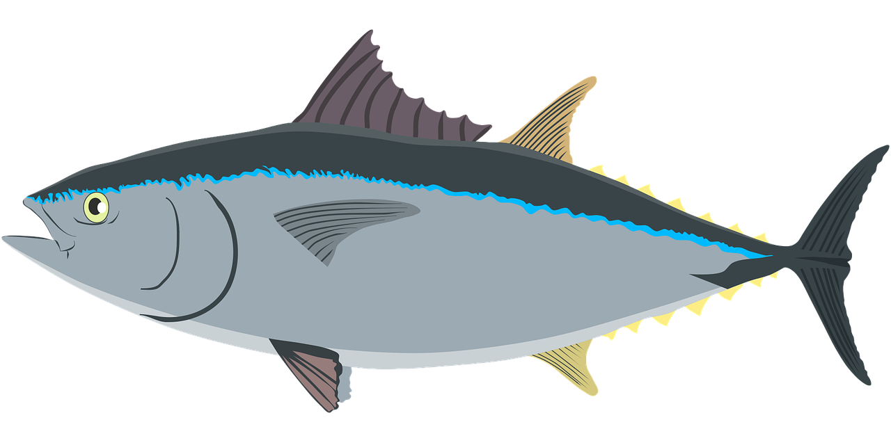 Pemijahan tuna sirip biru