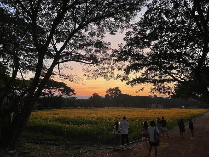Kebijakan pengendalian COVID-19 Thailand