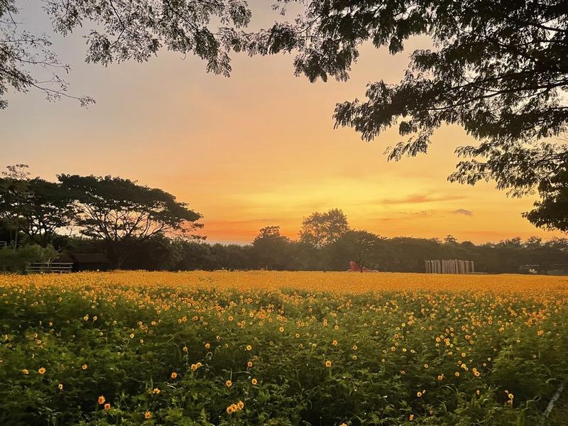 Sektor pariwisata Thailand
