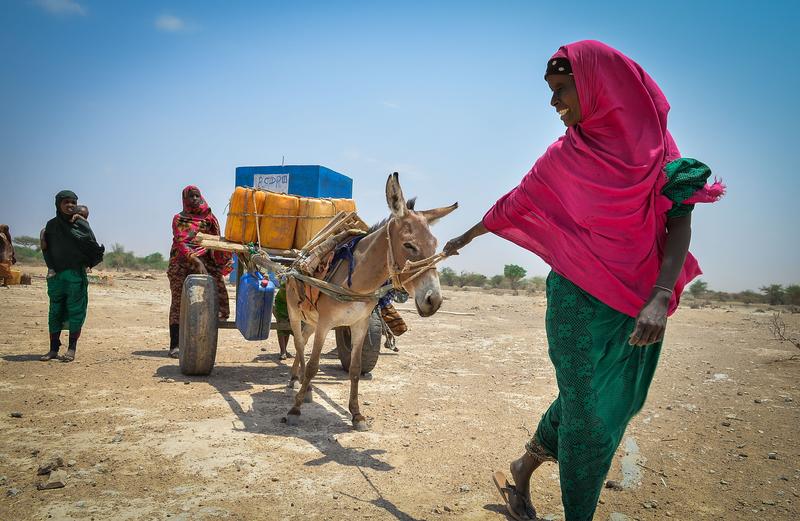 Kerawanan pangan di Ethiopia