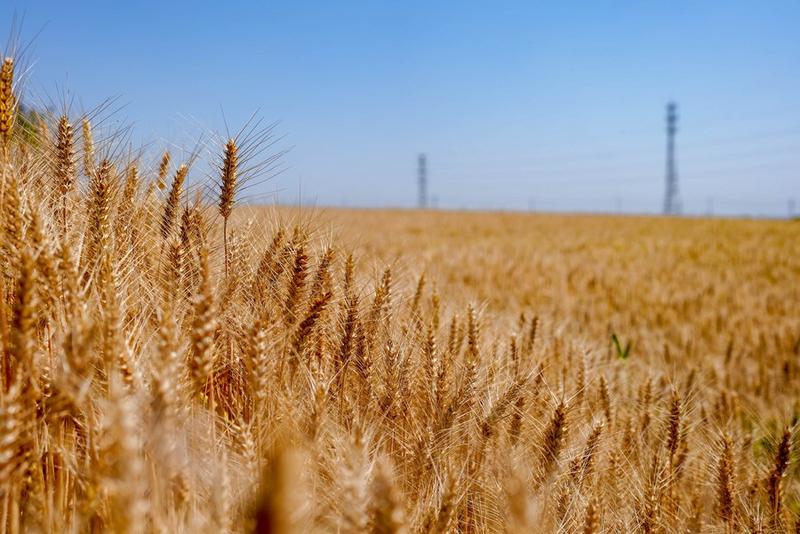 Negara sosialis modern China