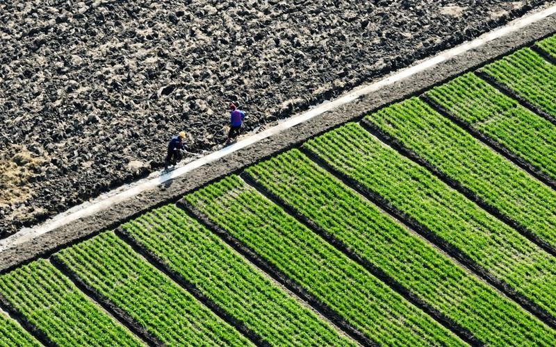 Pelabuhan utama di Xinjiang