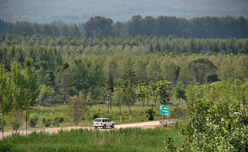 Proyek aforestasi di Beijing