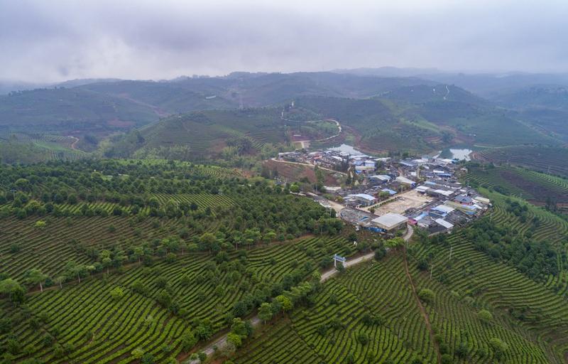 Upaya aforestasi China