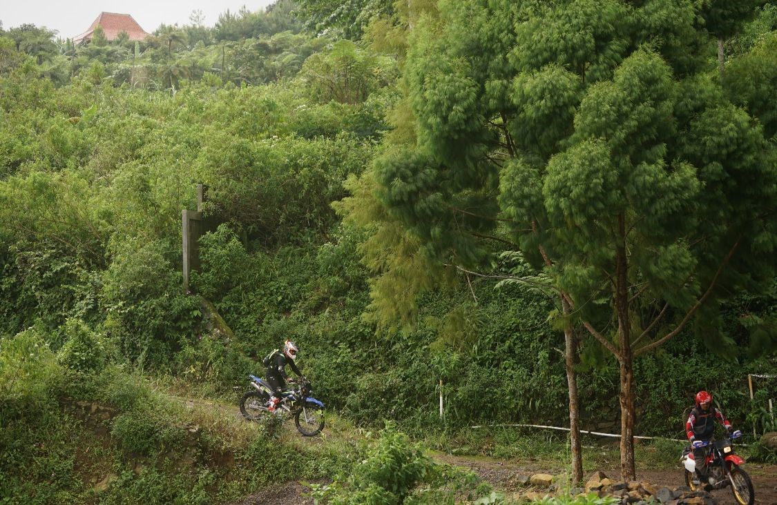 wisatawan mancanegara
